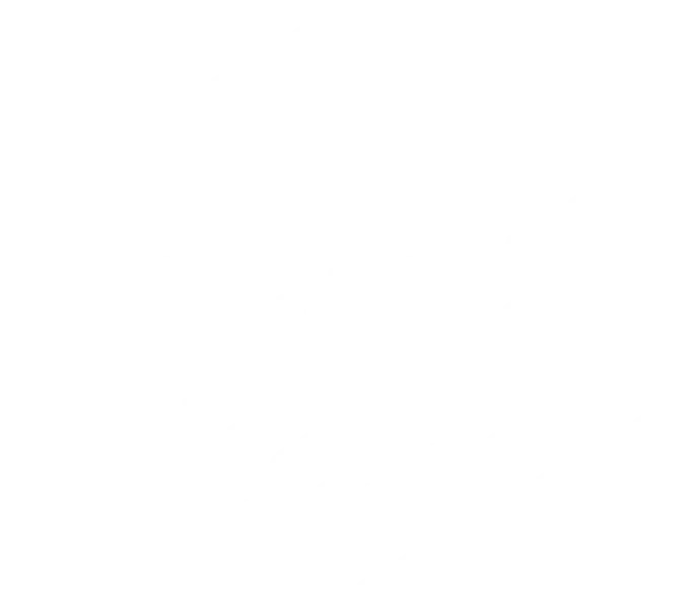 Gutter Guards
